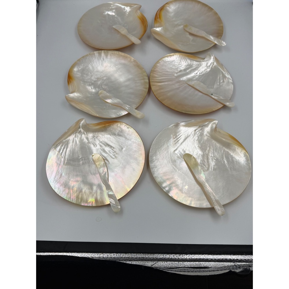 Genuine Mother of Pearl Caviar Plate & Spoon Set of 6 Iridescent Shell Dishes